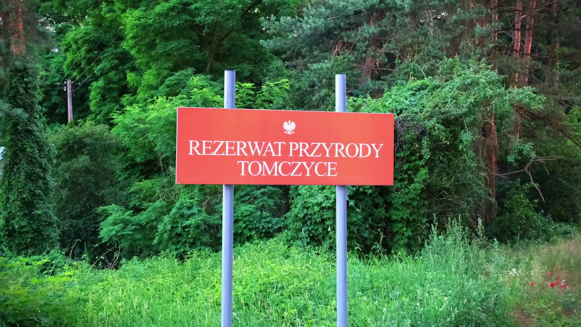Piaszczysta łacha i zakole Pilicy