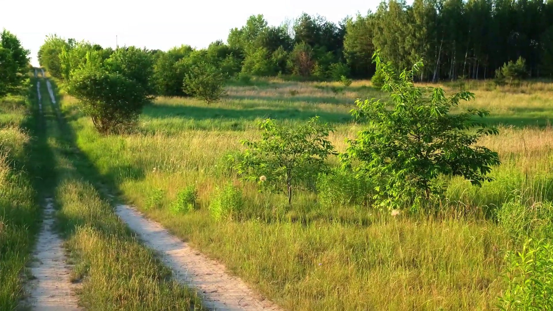 Widok na dolinę z wysokości